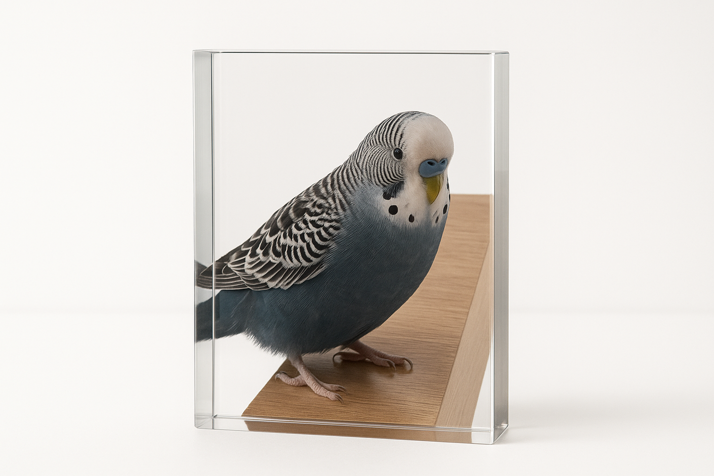 Large photo glass crystal block